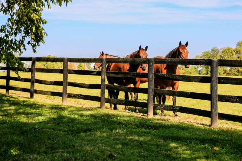 Horse Fence Installation