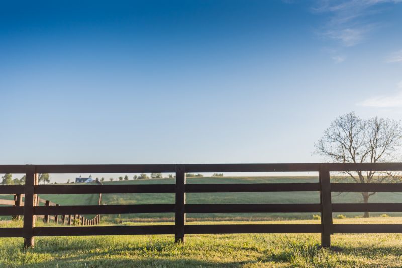 Horse Fence Installation