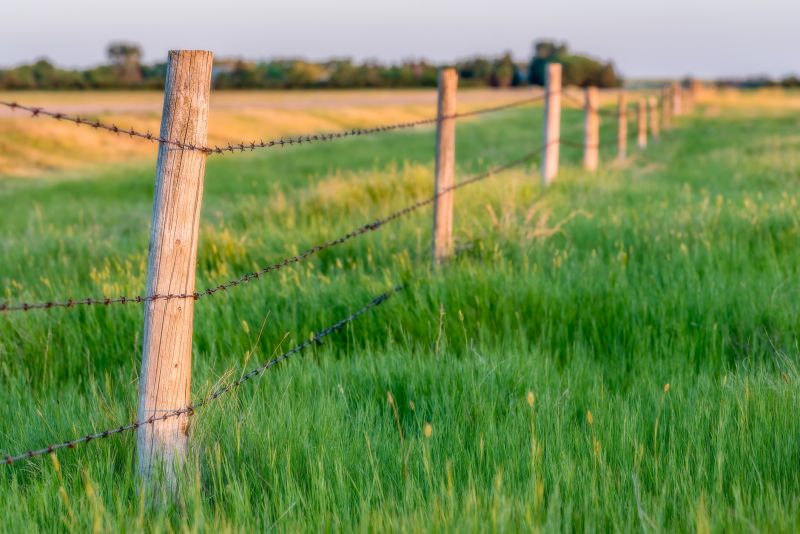 Horse Fence Installation in Spring