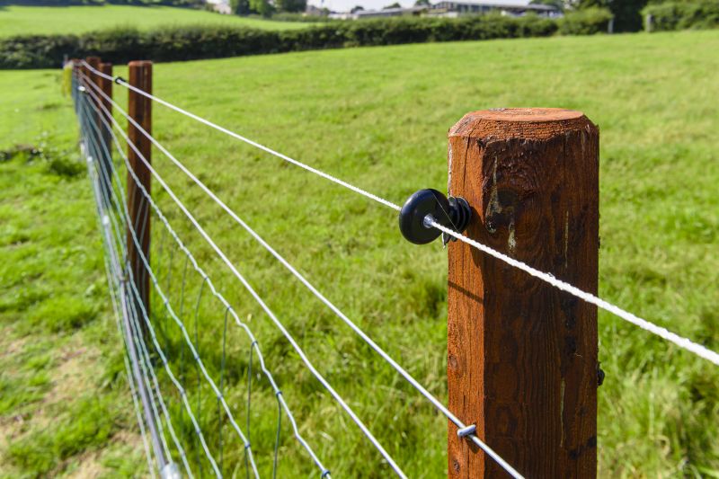 Electric Fence with Post Insulators