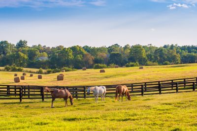 Provide a Barrier for Pastures