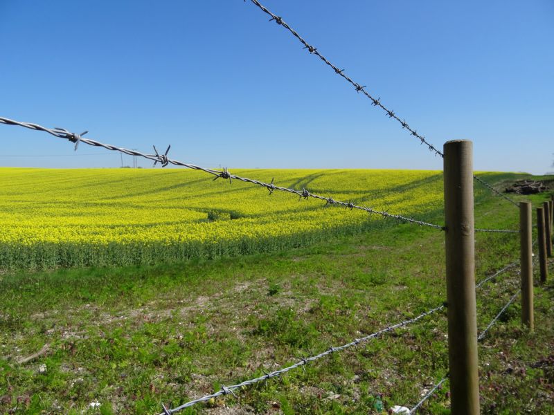Horse Fence Installation Options and Tips
