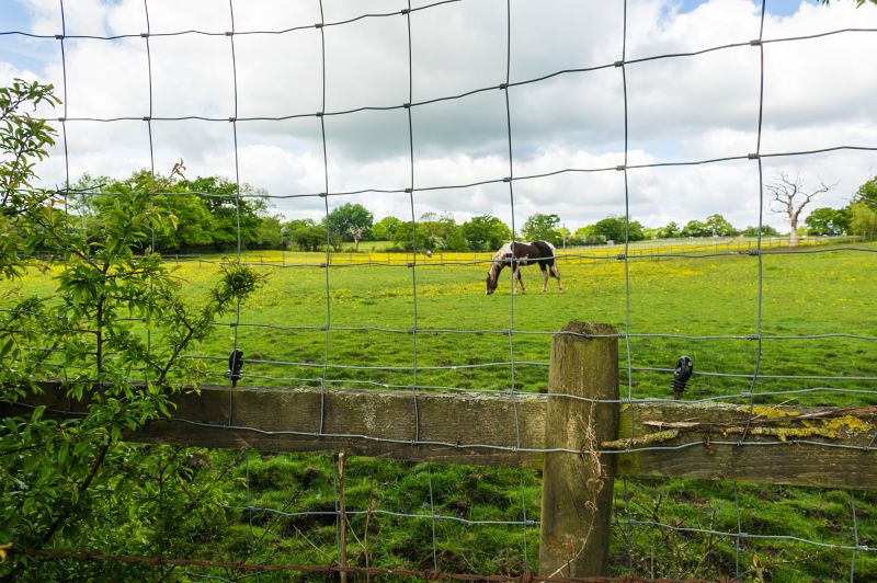 Horse Fence Installation Contractors